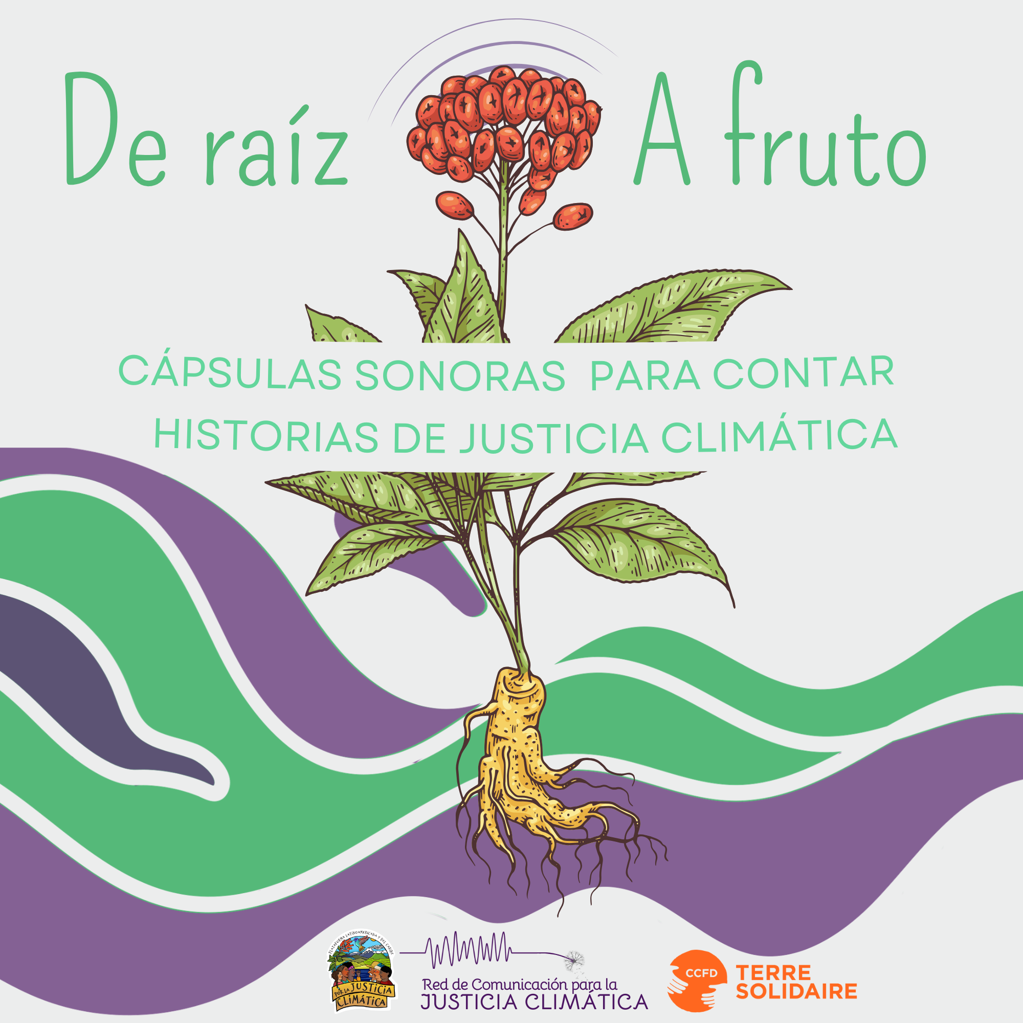 De raíz a fruto cápsulas sonoras